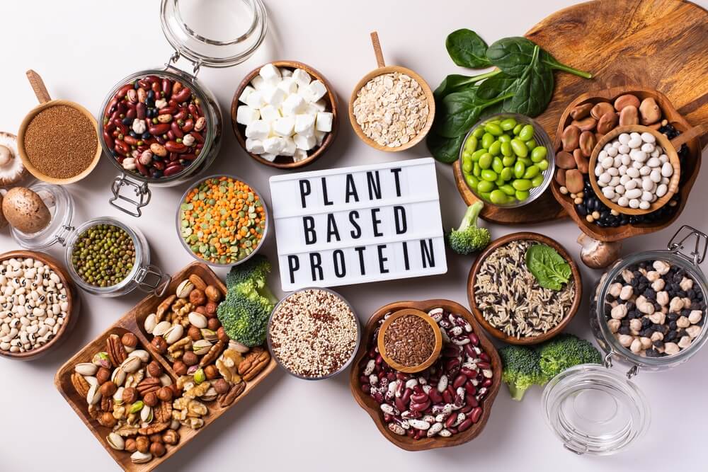 plant based proteins