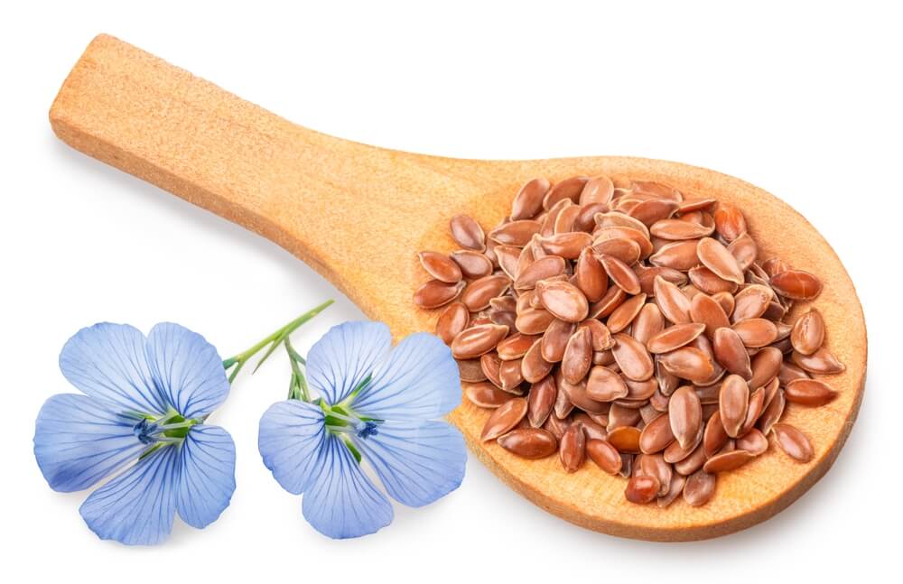 flax seed for digestion
