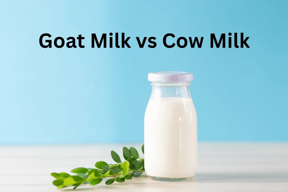 goat milk vs cow milk